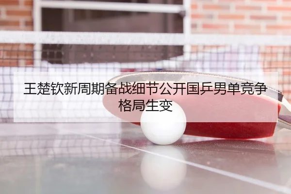 王楚钦新周期备战细节公开国乒男单竞争格局生变